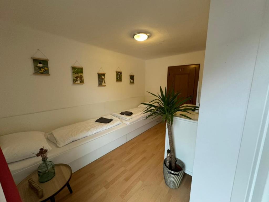 GO FOR MOUNTAINS Appartements Eben Im Pongau Exterior foto